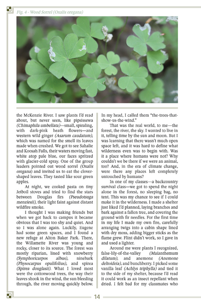 Buckmxn Journal #11