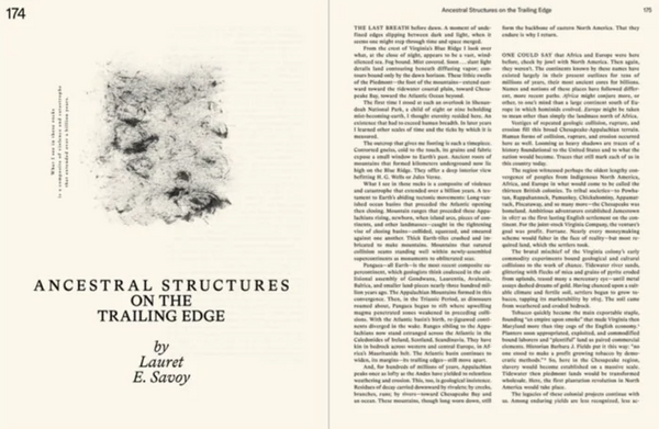 Emergence Magazine #04