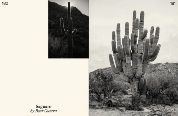 Emergence Magazine #04