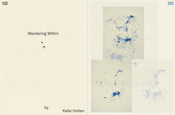 Emergence Magazine #04