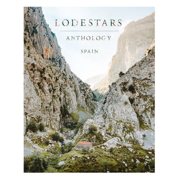 Lodestars Anthology #16