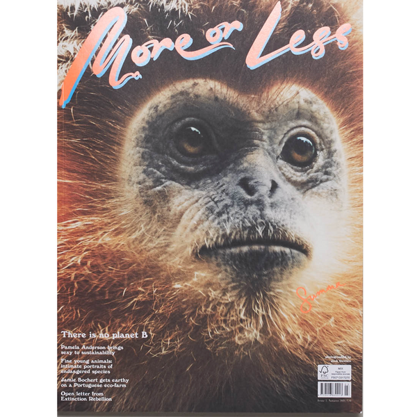 More or Less #03