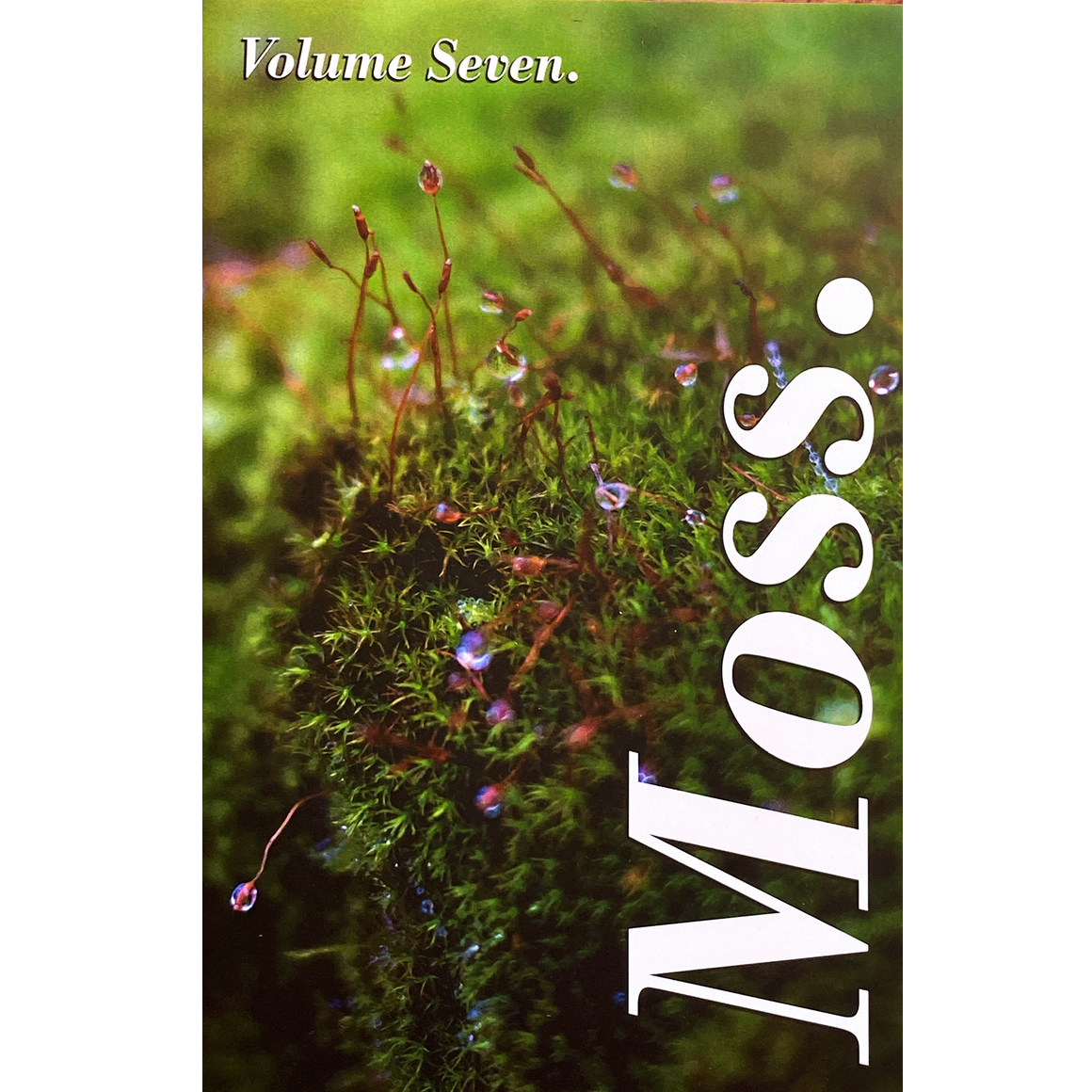 Moss #07